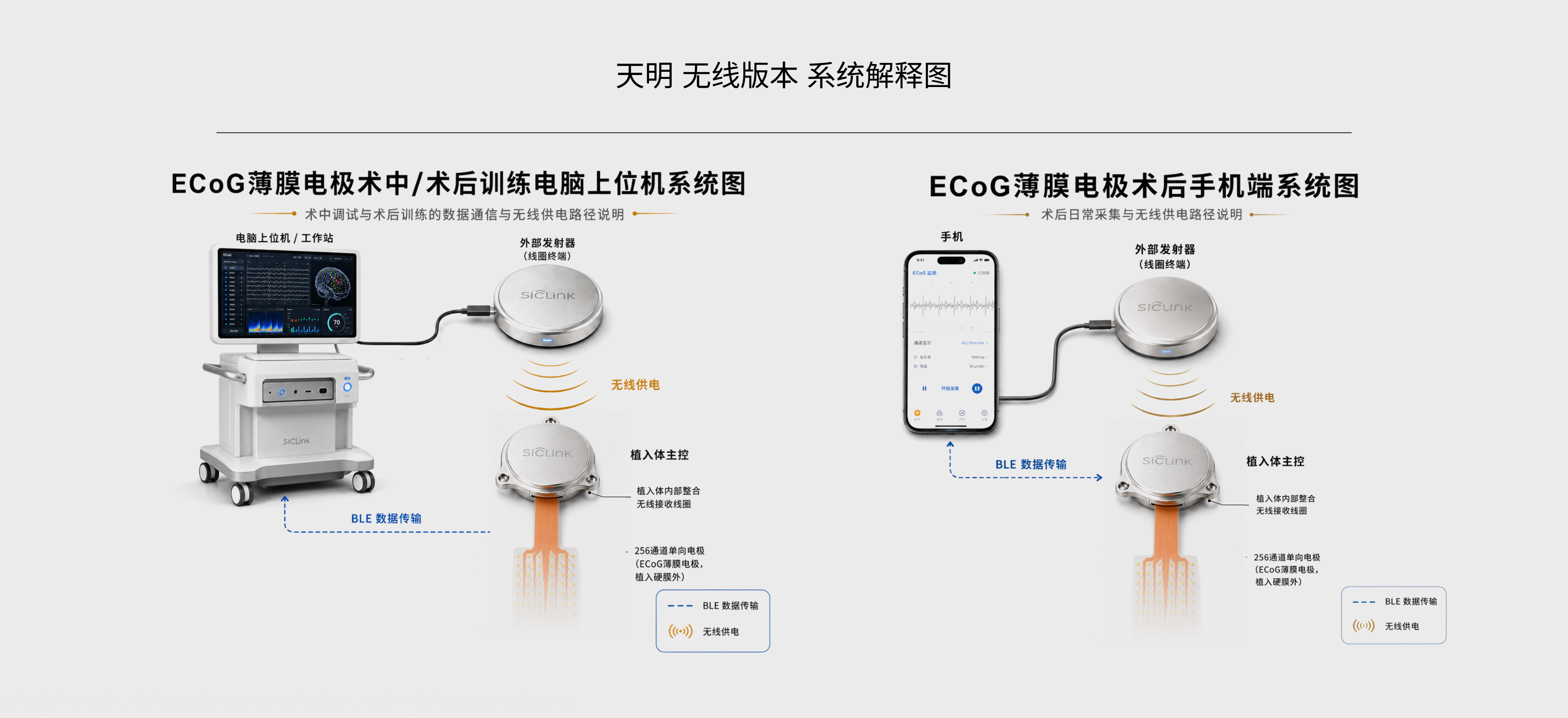 双向闭环系统