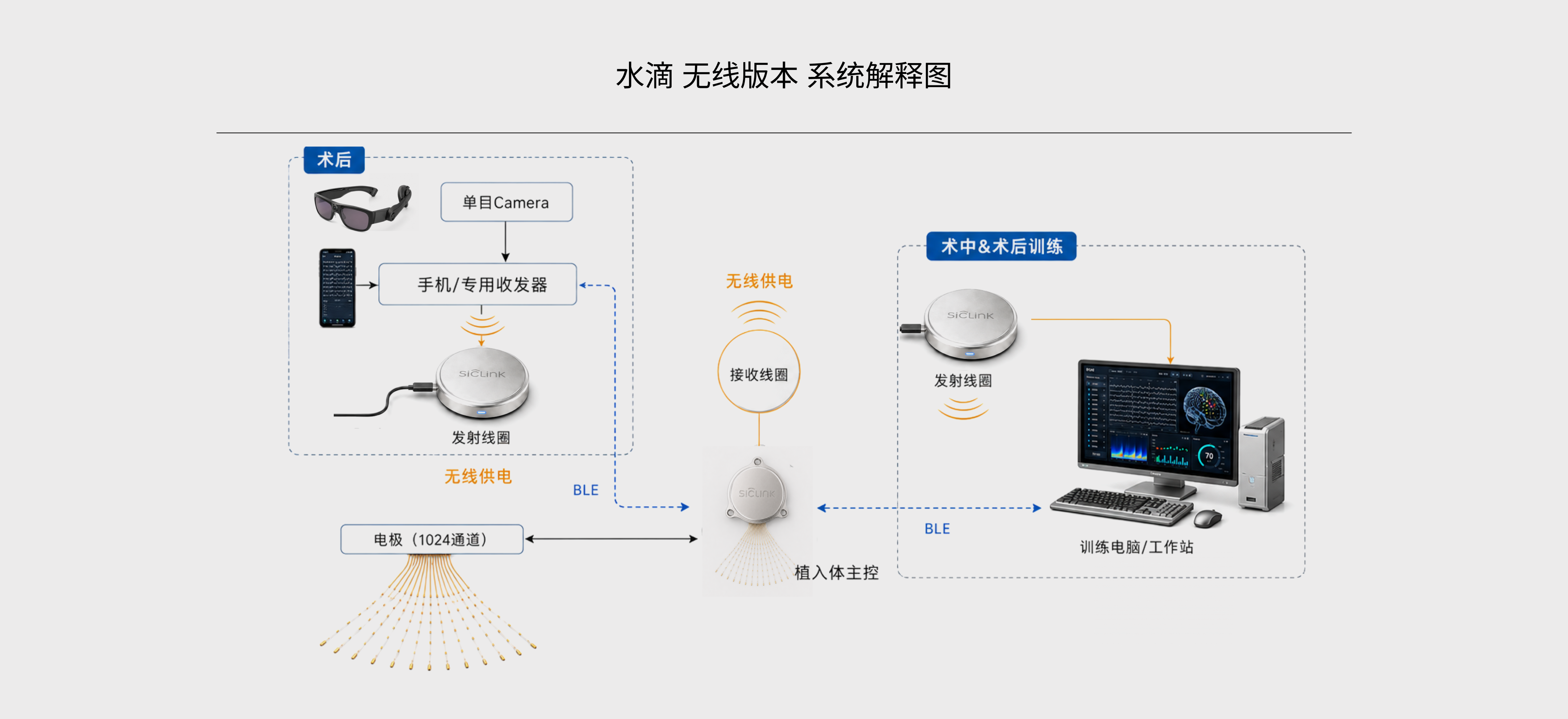 NeuroAtlas 与开发者工具链